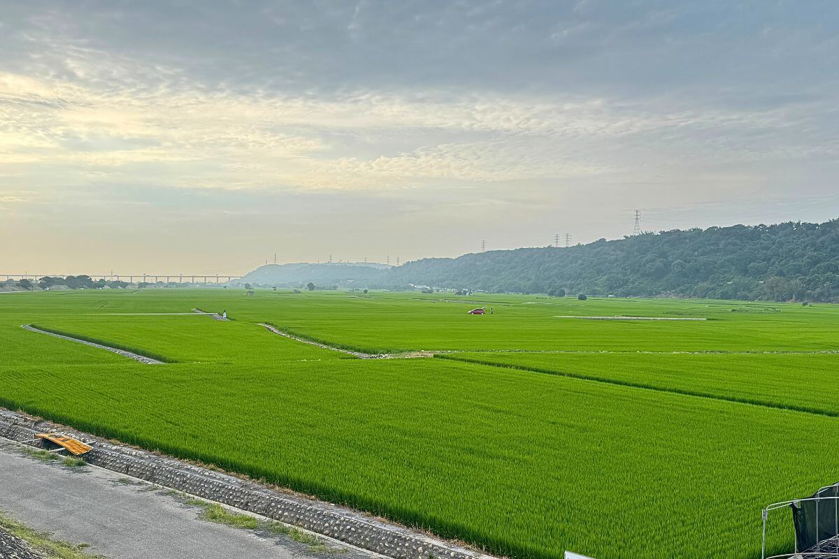 外埔忘憂谷美照