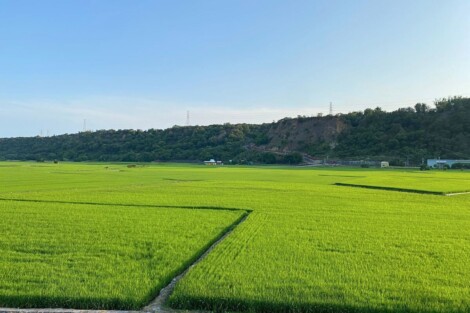 忘憂谷綠色梯田